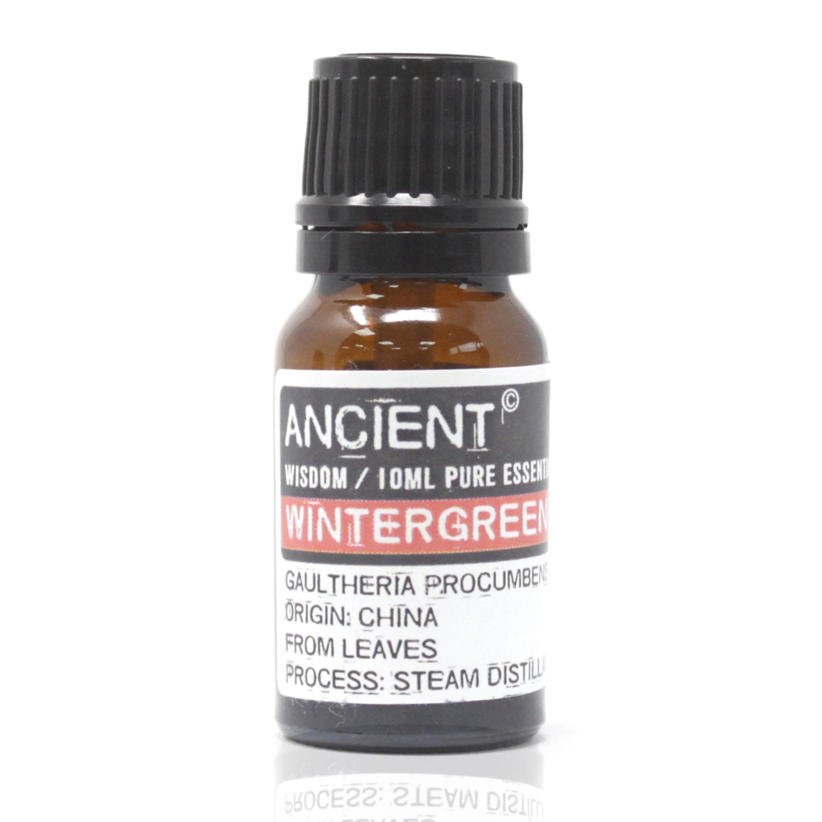 10ml Wintergreen Essential Oil - www.bryde.lt